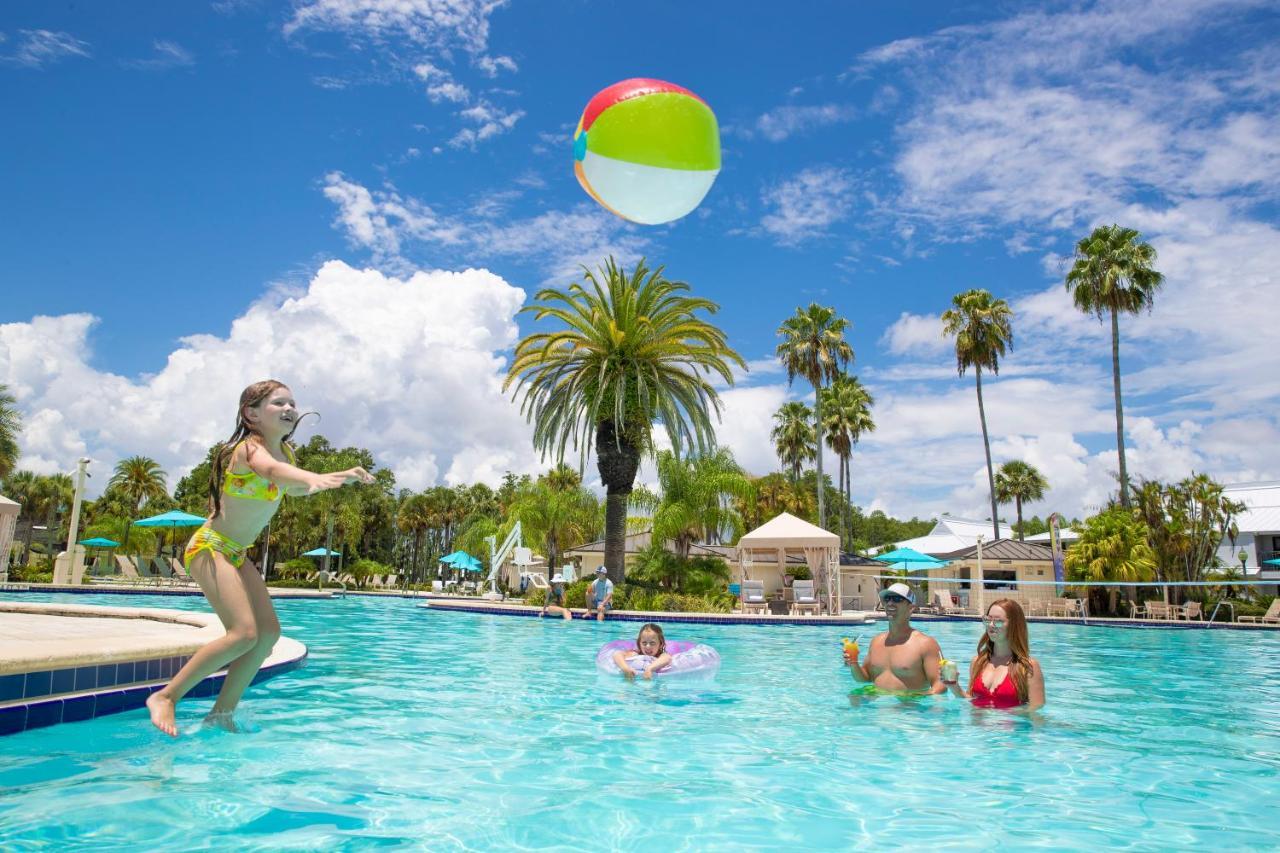 Saddlebrook Golf Resort & Spa Tampa North-Wesley Chapel Buitenkant foto